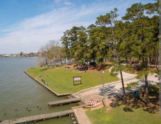 190 Briar Meadows Drive, Coldspring, TX 77331
