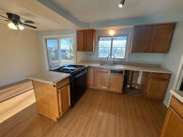 917 Aimtree Place, Schaumburg, IL 60194