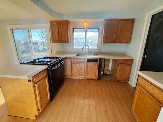 917 Aimtree Place, Schaumburg, IL 60194