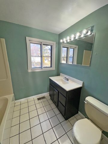 917 Aimtree Place, Schaumburg, IL 60194