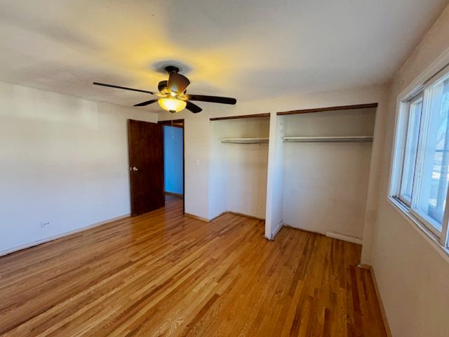 917 Aimtree Place, Schaumburg, IL 60194