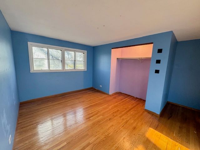 917 Aimtree Place, Schaumburg, IL 60194