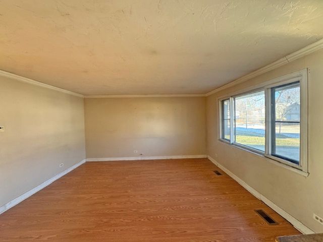 917 Aimtree Place, Schaumburg, IL 60194