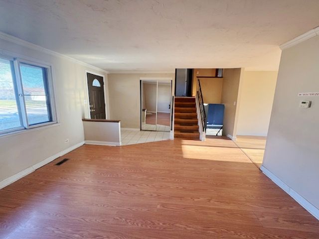 917 Aimtree Place, Schaumburg, IL 60194