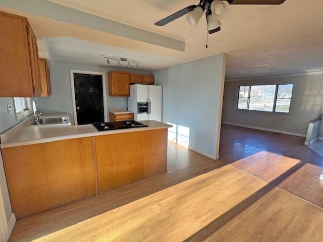 917 Aimtree Place, Schaumburg, IL 60194