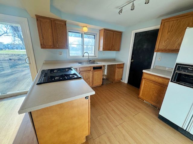 917 Aimtree Place, Schaumburg, IL 60194