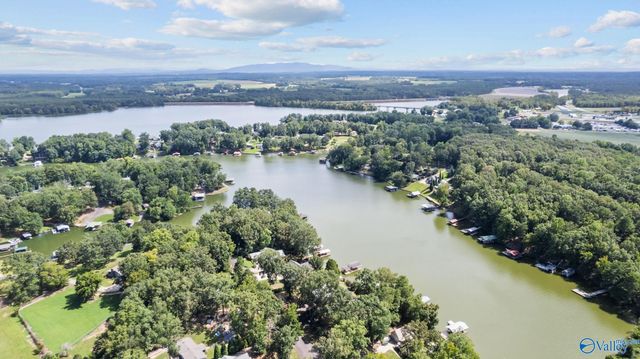 385 Frances Circle, Leesburg, AL 35983