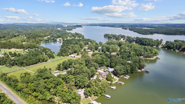 385 Frances Circle, Leesburg, AL 35983