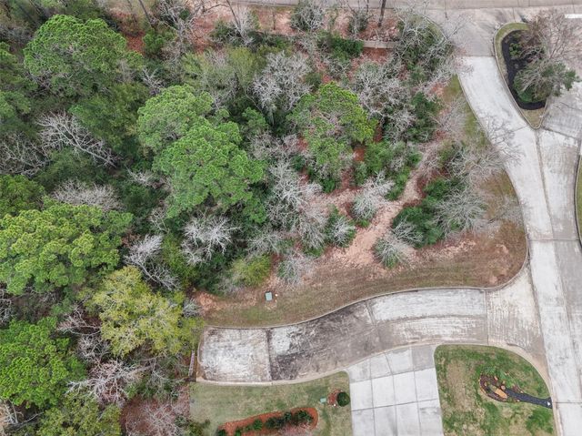 101 Pine Bluff Drive, Montgomery, TX 77356