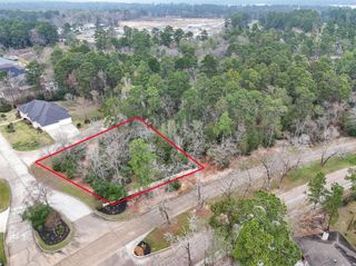 101 Pine Bluff Drive, Montgomery, TX 77356