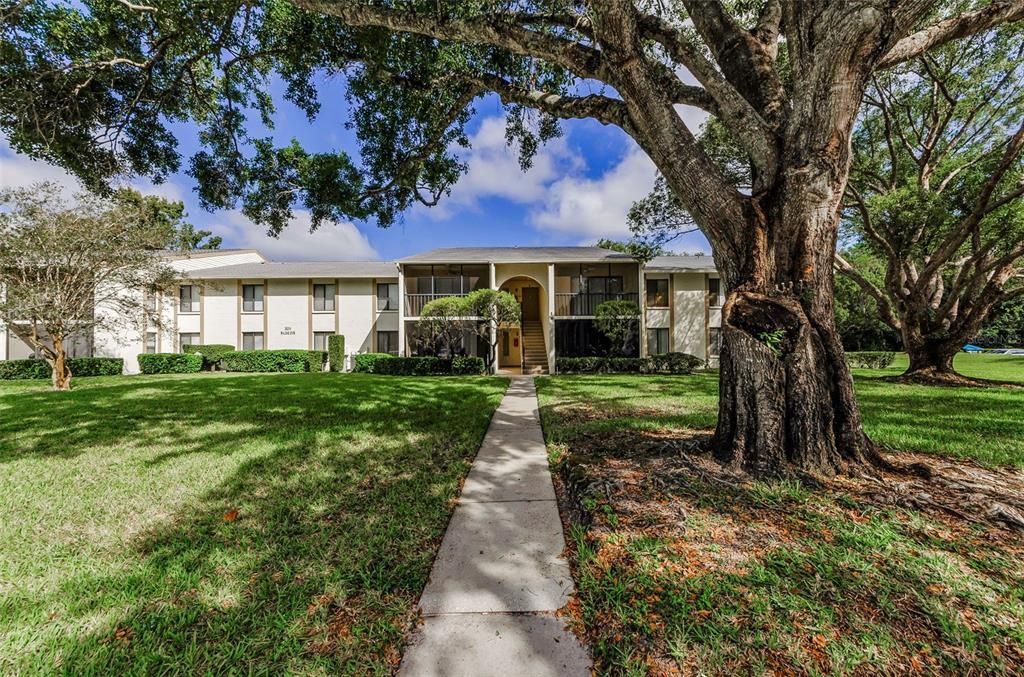 3211 LAKE PINE WAY E H1, Tarpon Springs, FL 34688