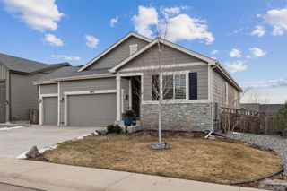 6872 Mentha Drive, Castle Rock, CO 80108