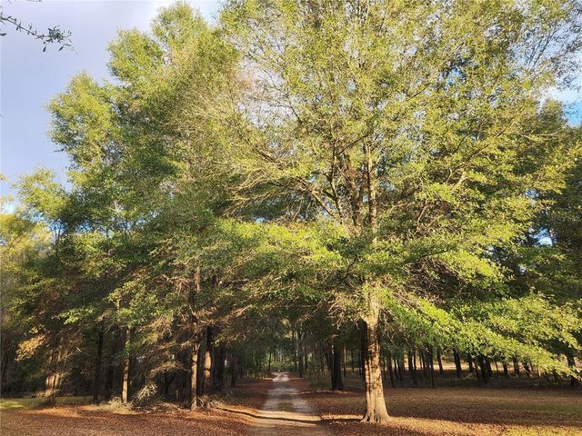 14612 NW 188TH STREET, Alachua, FL 32615