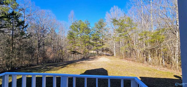 3972 County Road 140, Ider, AL 35981