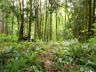 0 River Road, Brinnon, WA 98320