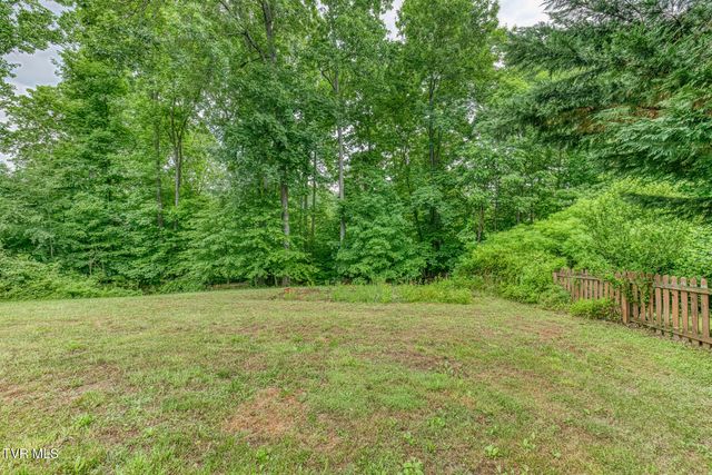 452 Emma Grace Drive, Jonesborough, TN 37659