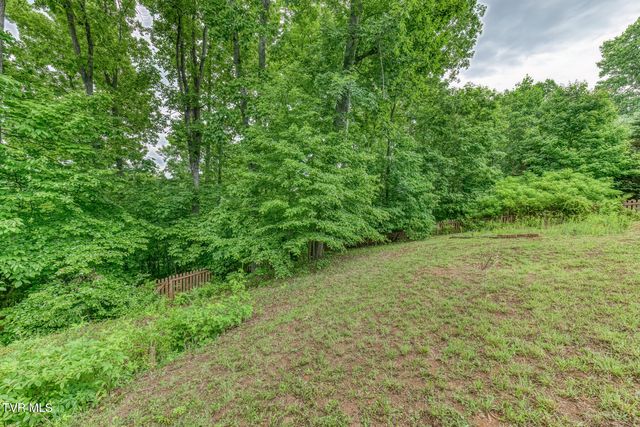 452 Emma Grace Drive, Jonesborough, TN 37659
