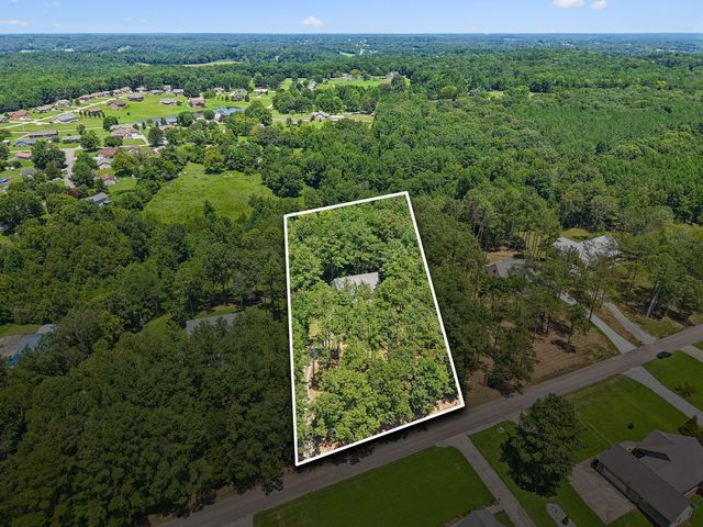 1151 Harmon Springs Rd, Dickson, TN 37055