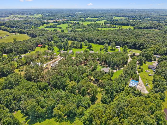1151 Harmon Springs Rd, Dickson, TN 37055