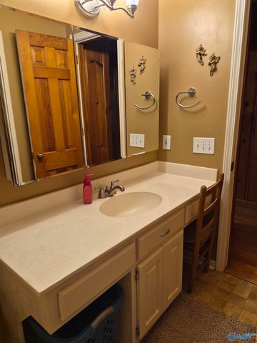 107 New Hope Cedar Point Rd, New Hope, AL 35760