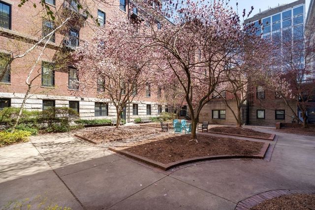 771 Harrison Ave. THA, Boston, MA 02118