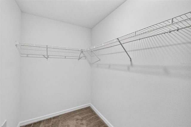 7622 ROSEWOOD GARDEN LOOP, Tampa, FL 33637