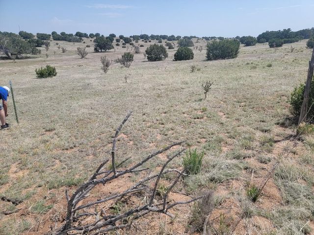 140 Brazos Loop, Estancia, NM 87016