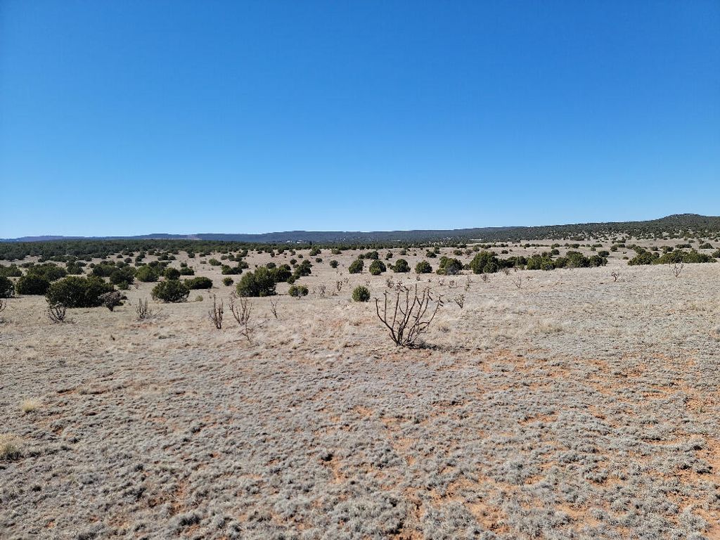 140 Brazos Loop, Estancia, NM 87016