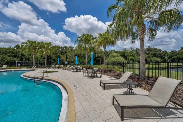 10520 ALCON BLUE DRIVE, Riverview, FL 33578
