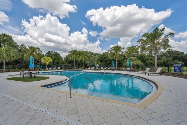 10520 ALCON BLUE DRIVE, Riverview, FL 33578