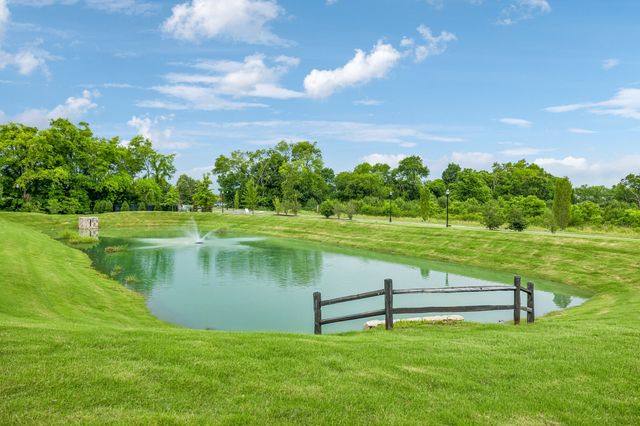 233 Champaign Pvt Drive, Hendersonville, TN 37075