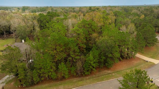 221 Skipper Jack, Montgomery, TX 77316