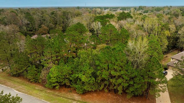 221 Skipper Jack, Montgomery, TX 77316
