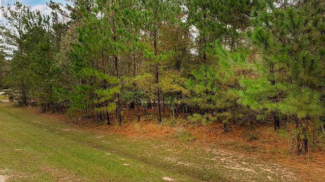 221 Skipper Jack, Montgomery, TX 77316
