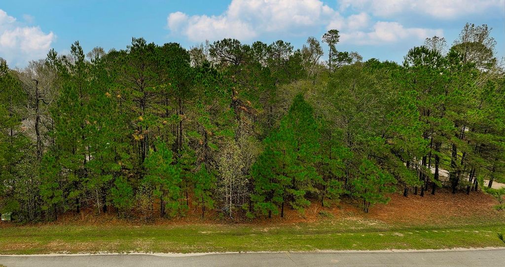 221 Skipper Jack, Montgomery, TX 77316