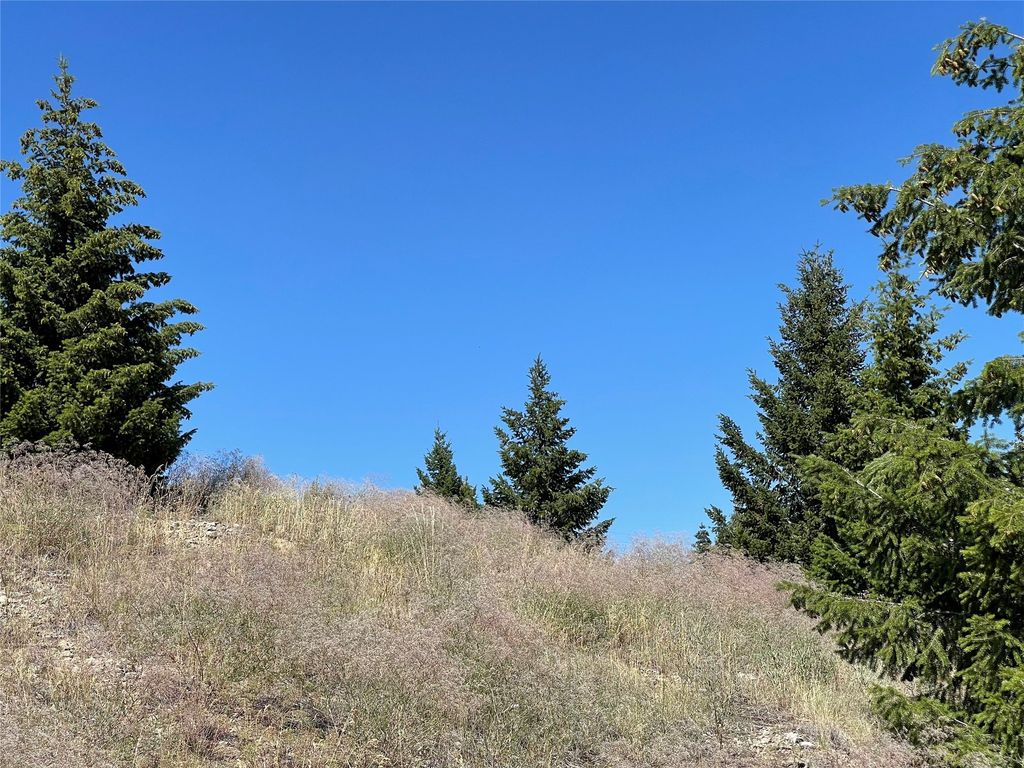 tbd W Galena Street, Butte, MT 59701 photo 11