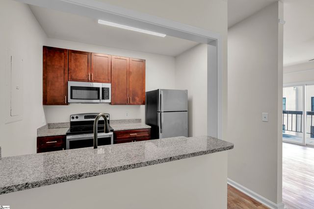 233 N Main Street Unit 509, Greenville, SC 29601