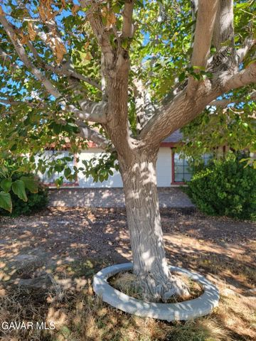 21481 Randsburg Mojave Road, California City, CA 93505