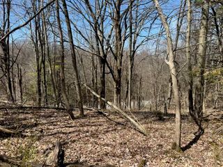 0 taghkanic, Elizaville, NY 12523