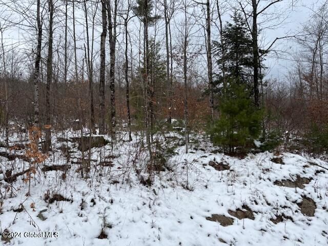 1291 Glen-Athol Road, Thurman, NY 12885