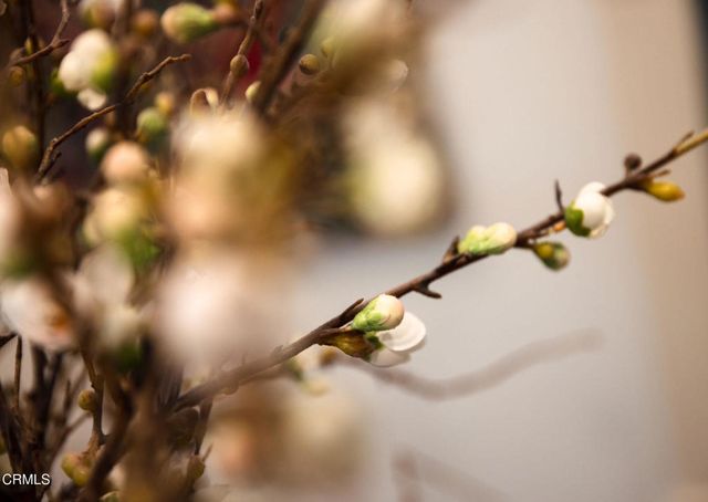 382 E California Boulevard 105, Pasadena, CA 91106