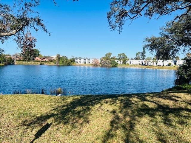 625 N KEENE ROAD T5, Clearwater, FL 33755