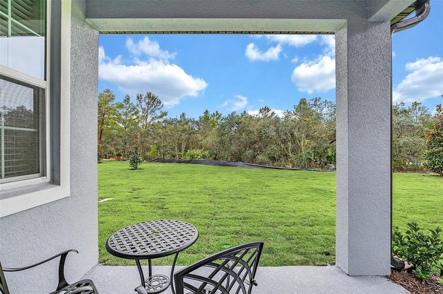 1390 REMICK COURT, Kissimmee, FL 34747