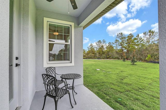 1390 REMICK COURT, Kissimmee, FL 34747