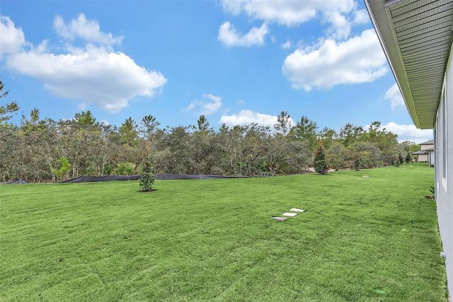 1390 REMICK COURT, Kissimmee, FL 34747