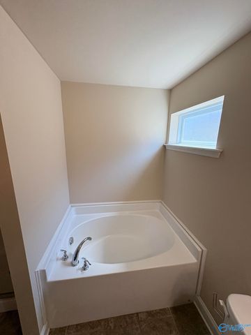 6028 Stonewater Court, Huntsville, AL 35806