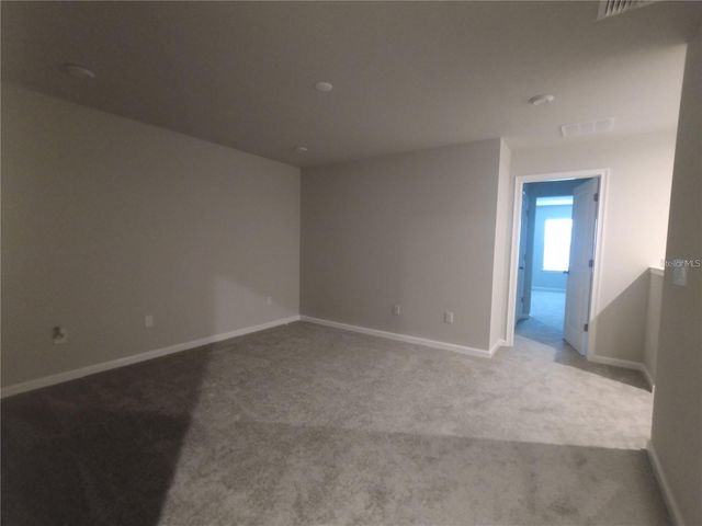 26010 WOVEN WICKER BEND, Lutz, FL 33559