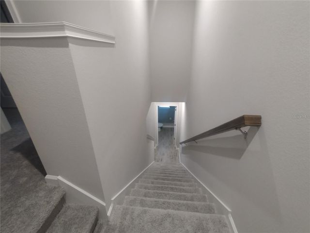26010 WOVEN WICKER BEND, Lutz, FL 33559