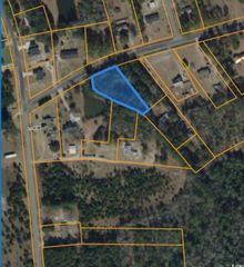 Lot 1 Goretown Loop, Loris, SC 29569