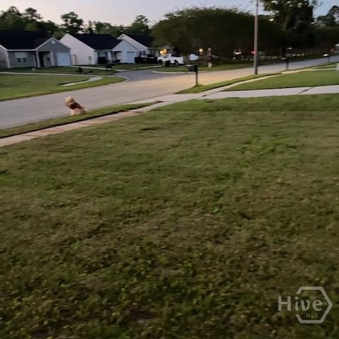 685 Rushing Street, Richmond Hill, GA 31324